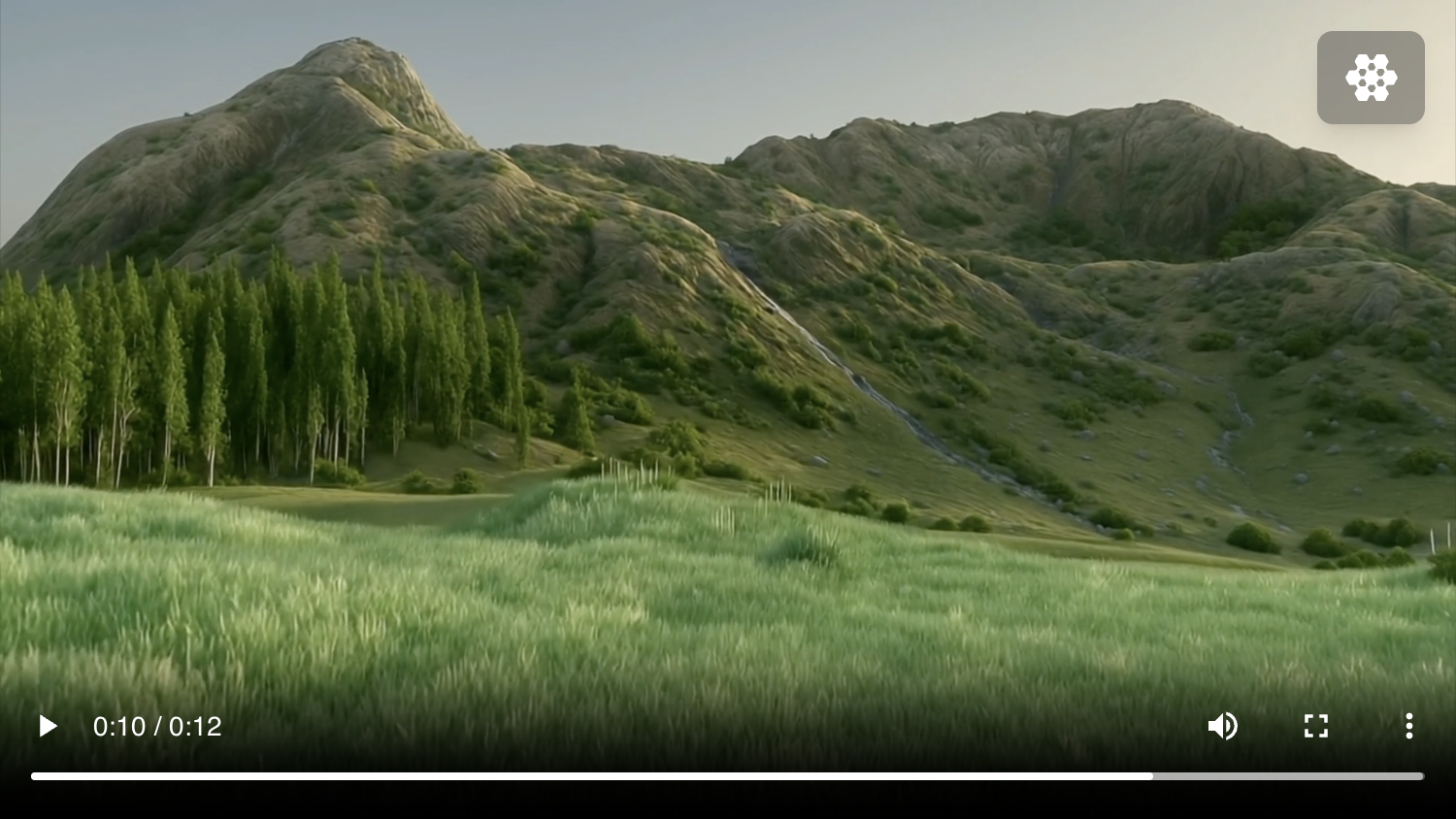 video_asset_player.png